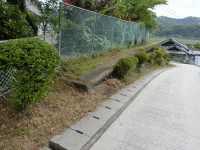 CIMG8195